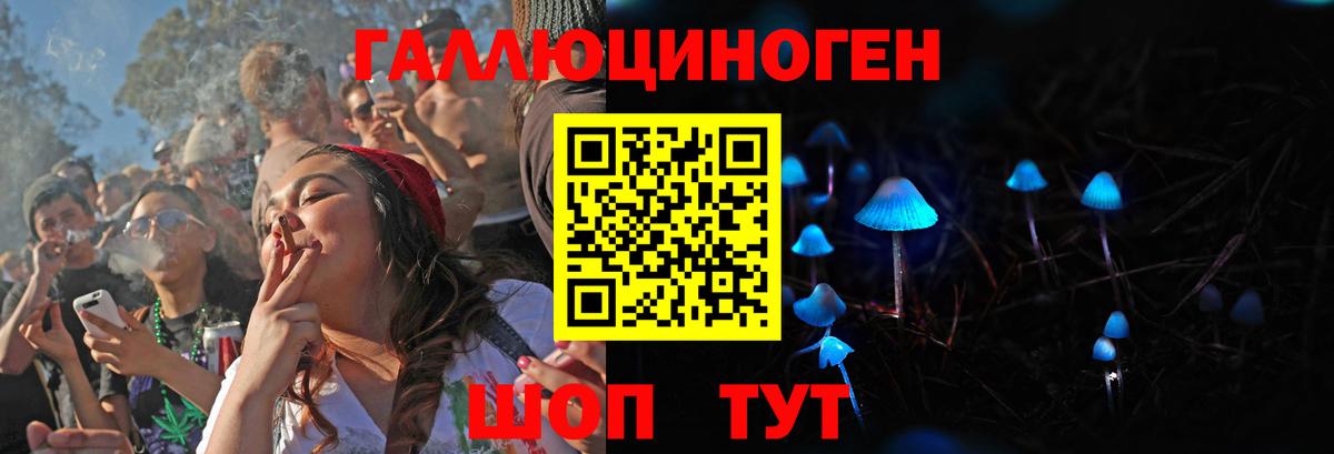 Галлюциногенные грибы Psilocybine cubensis Пермь